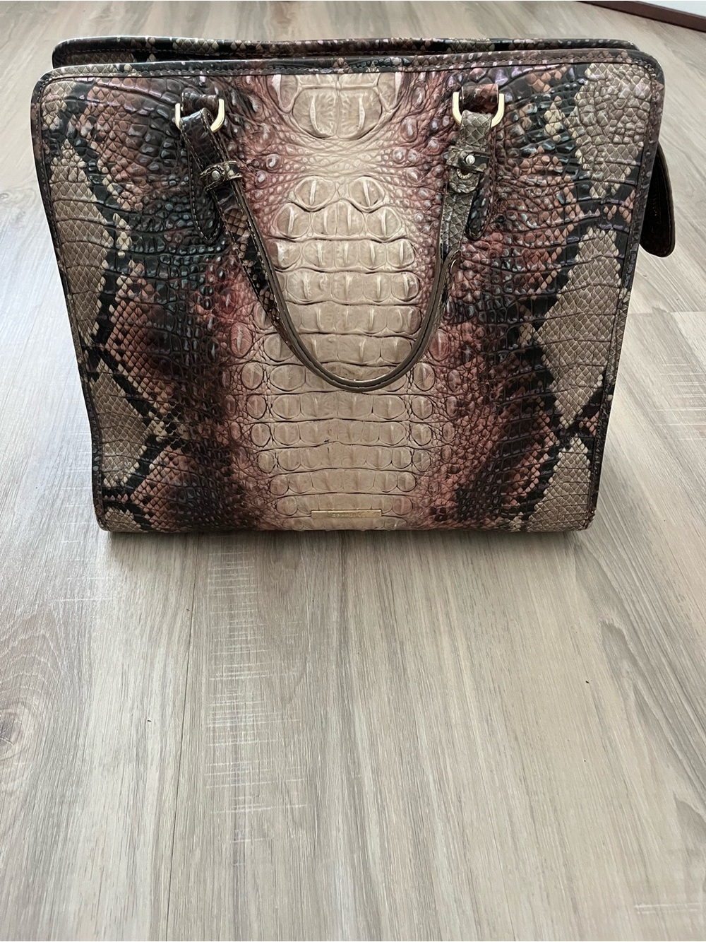 Brahmin Ashlee Leather Tote